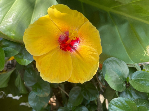 卡普鲁别墅主图