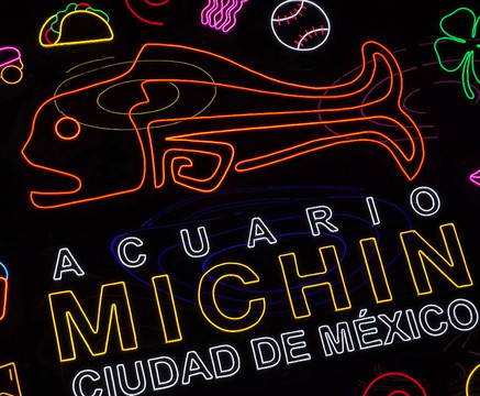 Acuario Michin Ciudad De Mexico-墨西哥城必去景点