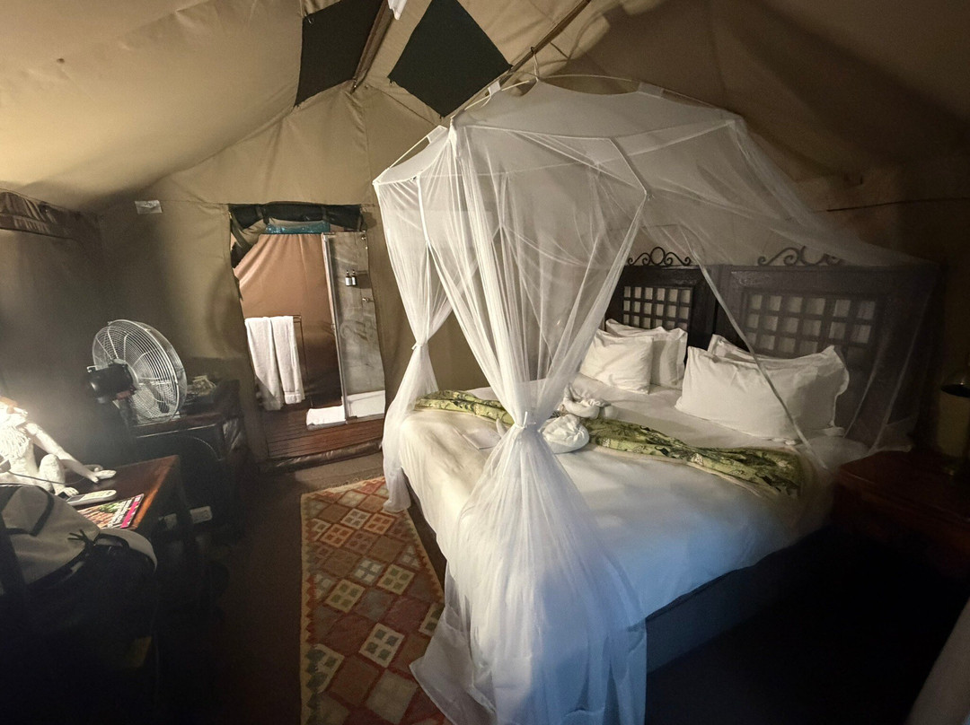 Umkumbe Bush Lodge - Luxury Tented Camp主图
