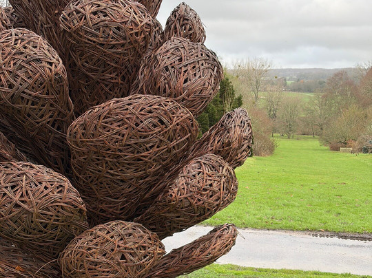 Sir Harold Hillier Gardens-罗姆西必去景点