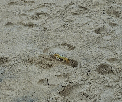 Apaga-Fogo Beach-Arraial d'Ajuda必去景点