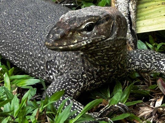 Sri-tours-St. Margarethen必去景点