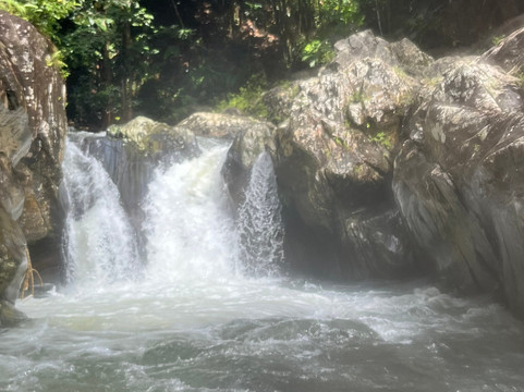 El Yunque Tours-Rio Grande必去景点