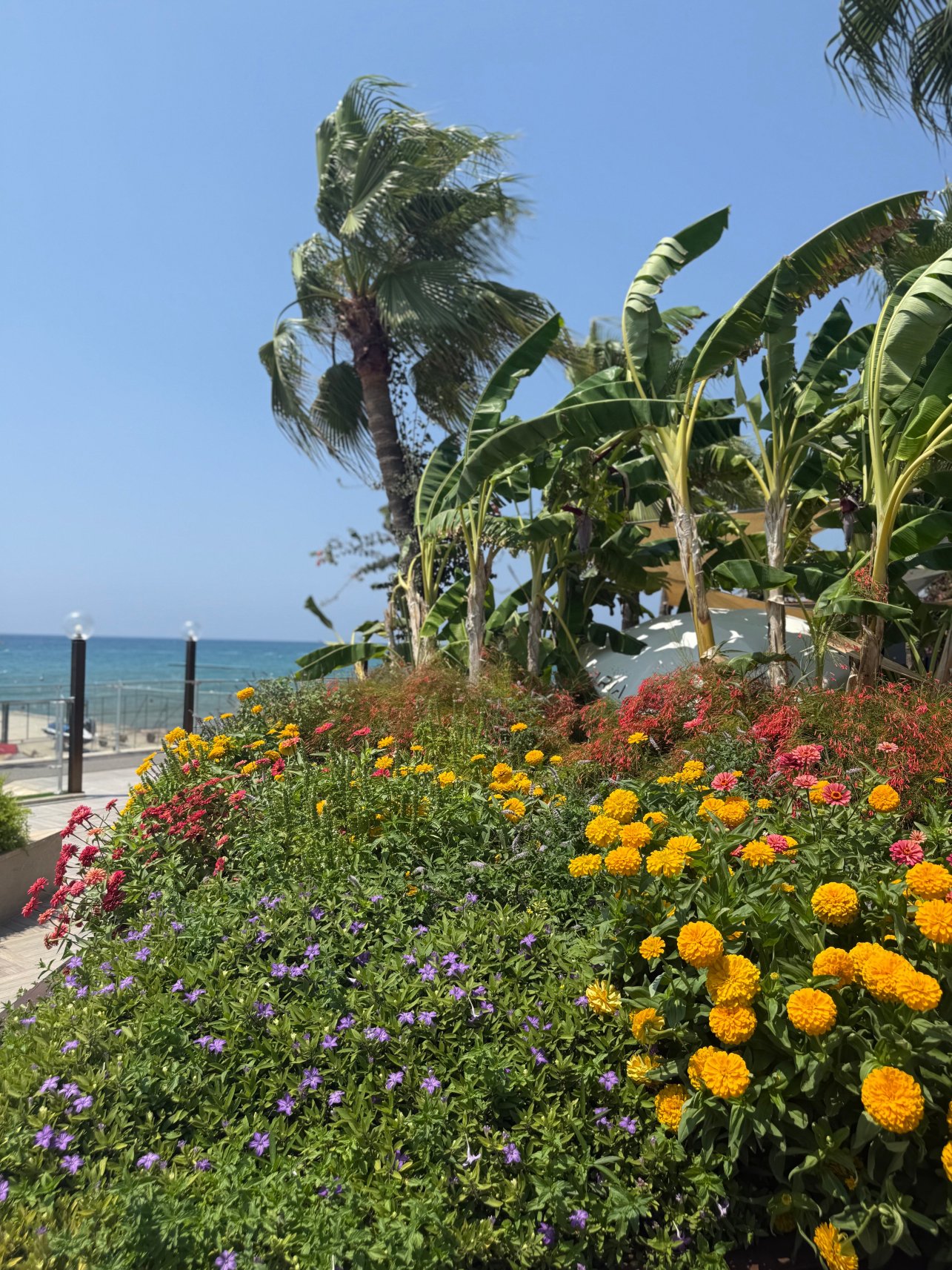 阿丽雅度假村及水疗中心-浴室