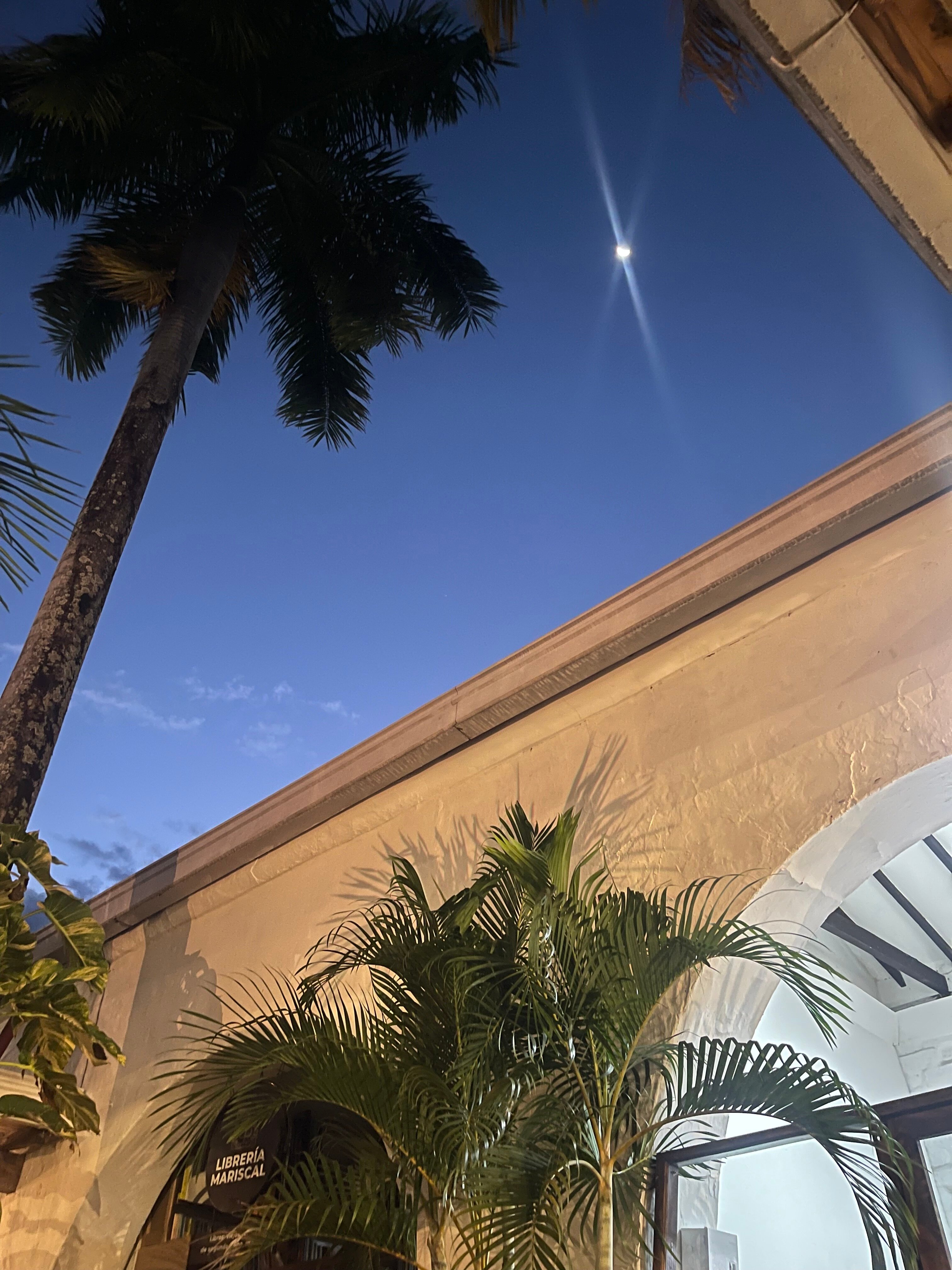 Hotel Mariscal Robledo-官方