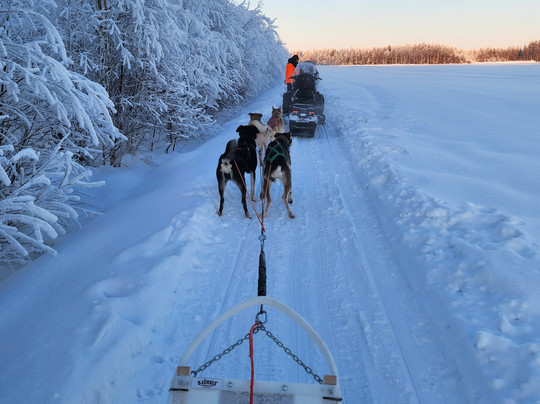 Aavasaksa Adventures-Ylitornio必去景点