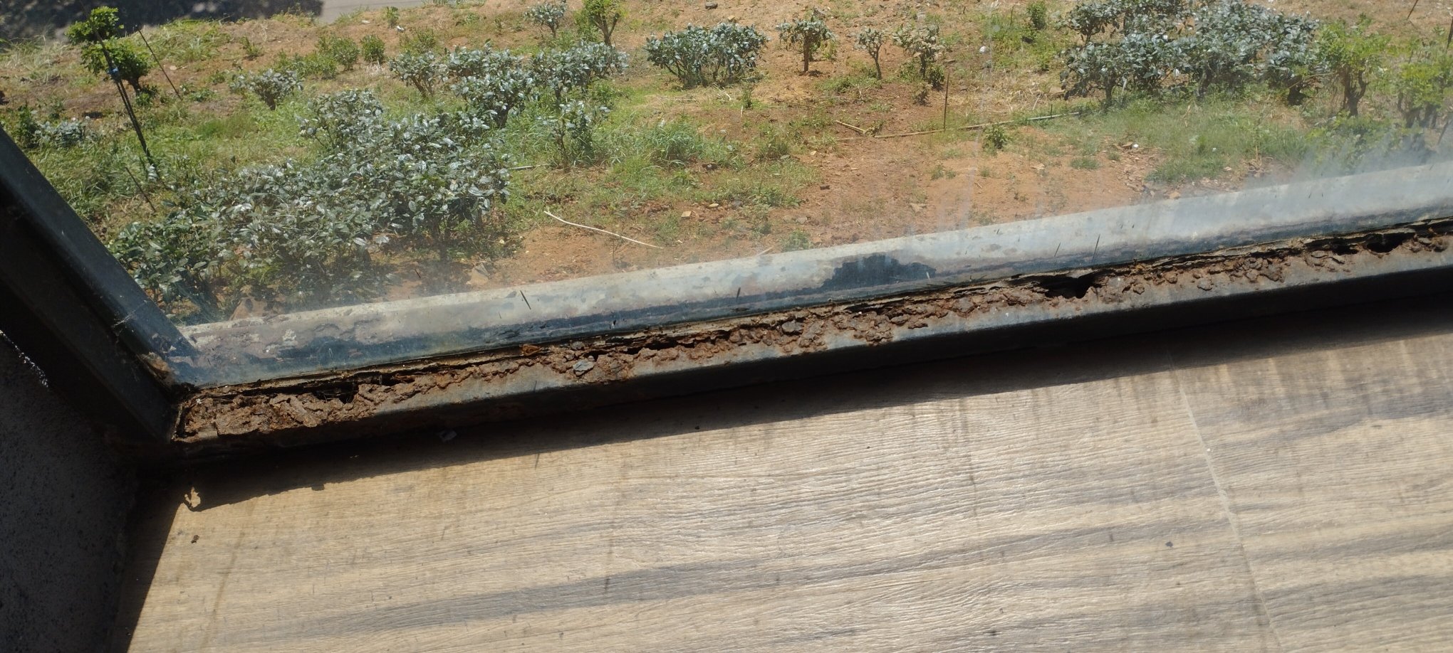 橡树雷茶布什酒店-酒店景观