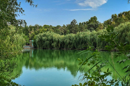 Dendrological Park named after Asanbay Askarov-Shymkent必去景点