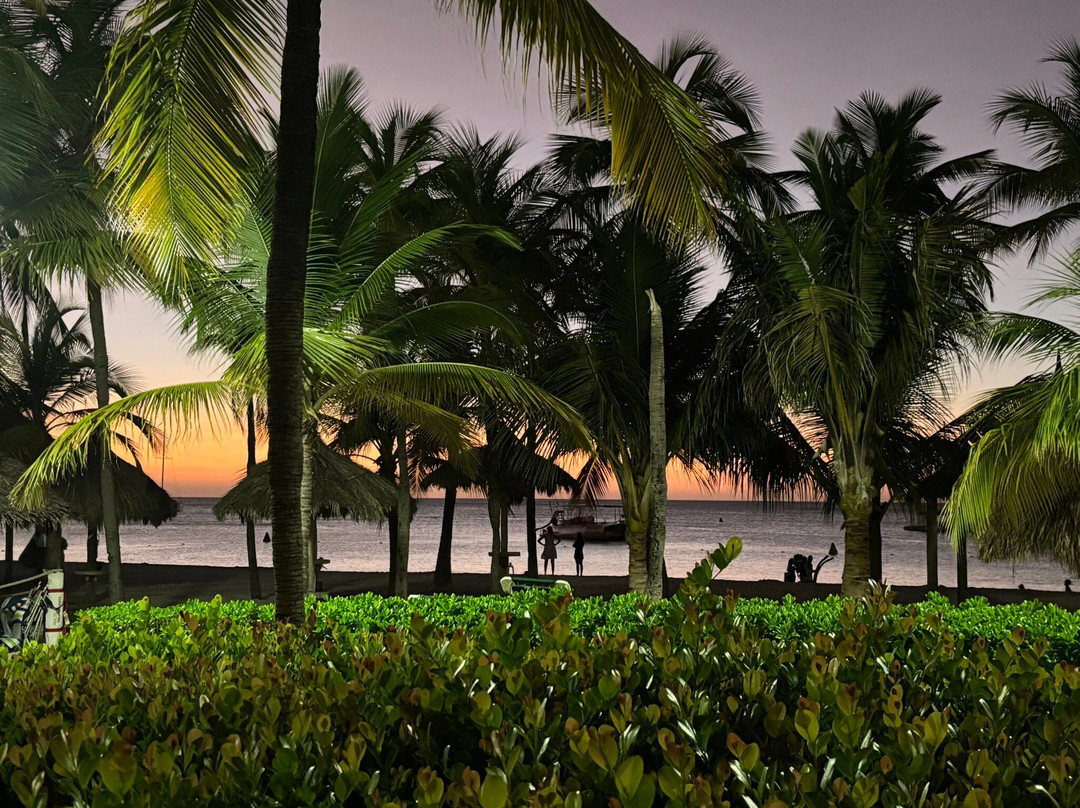 Arubian Seafood Restaurant