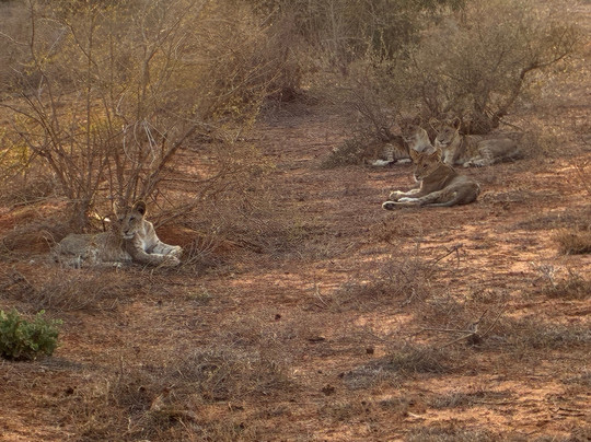 Bienvenido Kenya Tours and Safaris-山祖必去景点