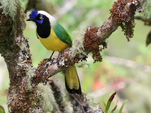 Paramo Trek Salento-萨伦托必去景点