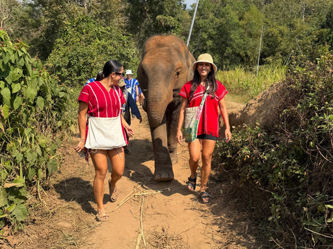 JohnnyBoy Elephant Care-清迈必去景点