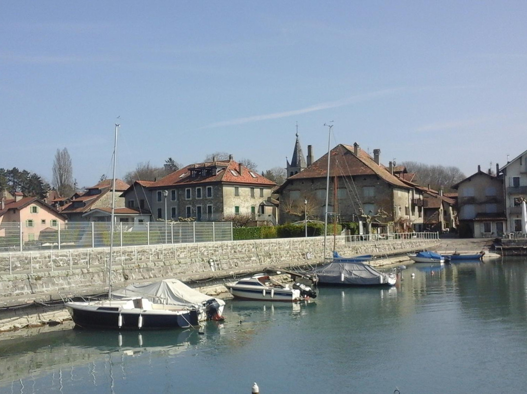 Messery餐馆和美食-Le Petit Bar