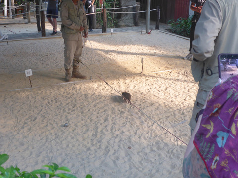 APOPO Visitor Center-暹粒必去景点