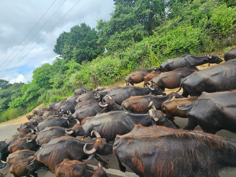 TrustGo Travels-埃勒必去景点