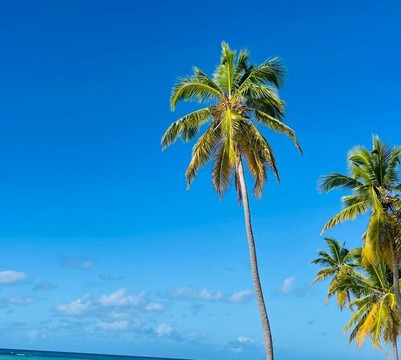 Italcruise-Bayahibe必去景点