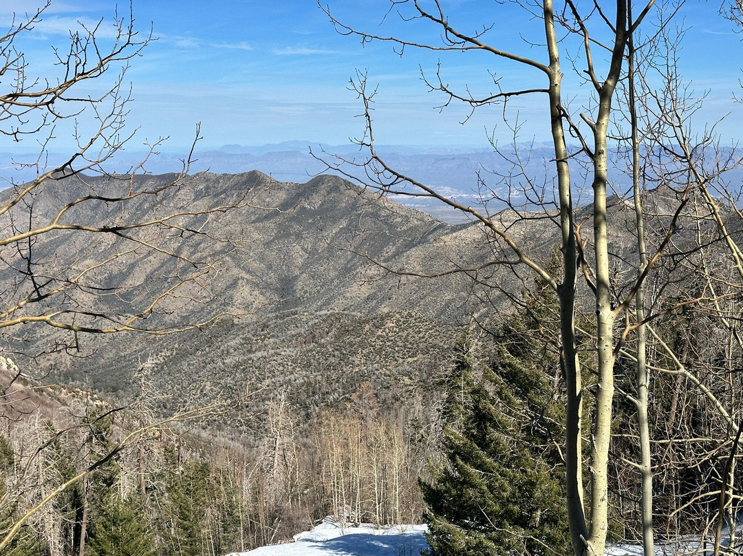 Mount Lemmon Ski Valley-Mount Lemmon必去景点