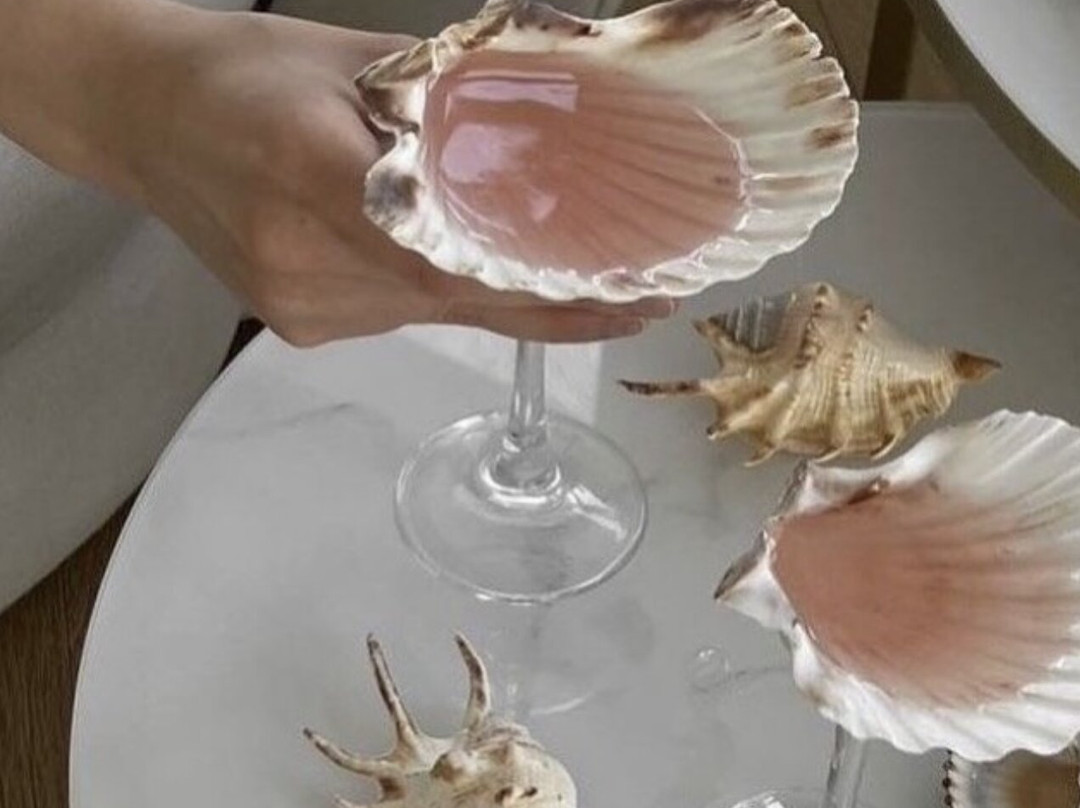 Concha Bar Santa Maria