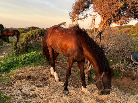 Akhiadventures-伦敦必去景点