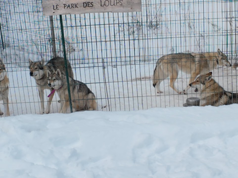 Au Hurlement du Crepuscule-Meyronnes必去景点