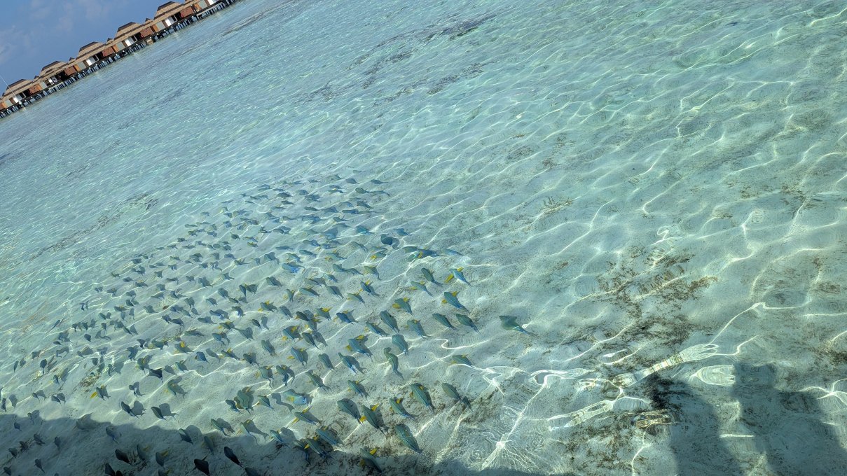 Pullman Maldives All-Inclusive Resort-浴室