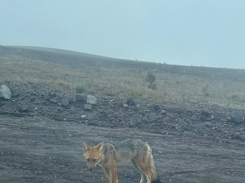 Carpedm Adventures Ecuador-基多必去景点