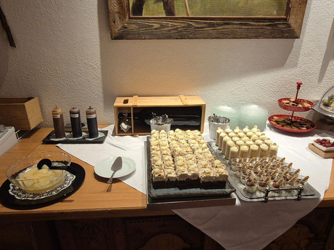 Hotel Alpina Superior主图