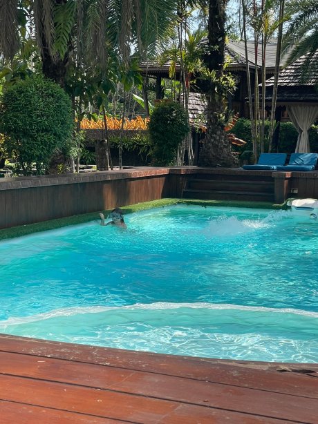 巴安哈比比度假酒店-官方