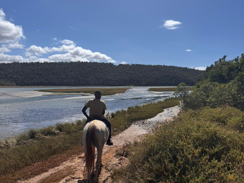 Beachcomber Horse Trails-Kenton-on-Sea必去景点