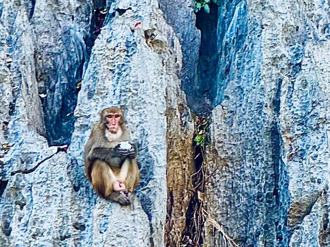Amethyst Day Cruise-下龙湾必去景点