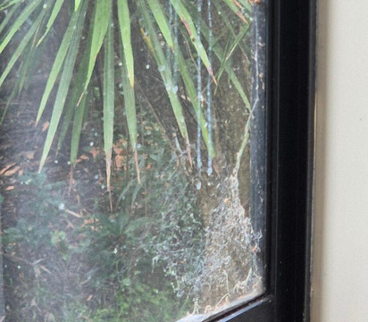 怀赫科岛汽车旅馆主图