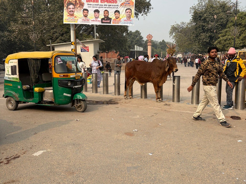 Tusk Travel Private Limited-新德里必去景点