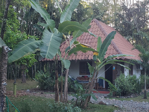 Naturalmente Boutique Bungalows y Cocina Mediterránea主图