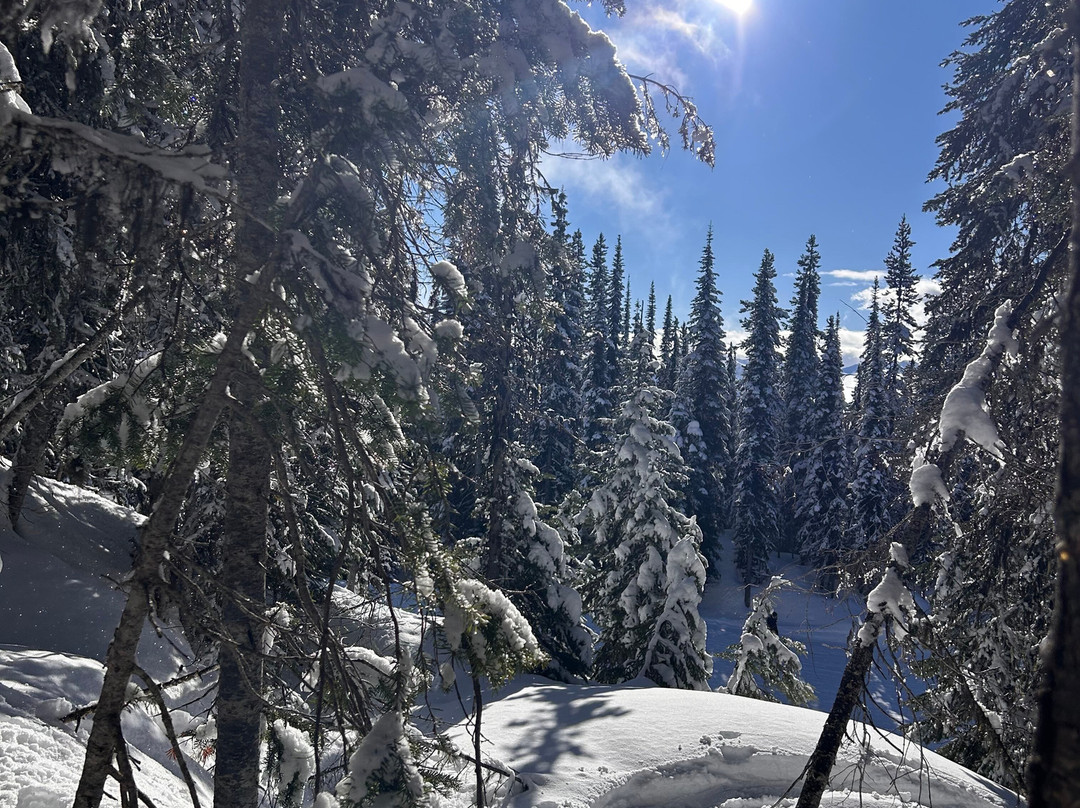 Revelstoke Snowshoe Company-雷夫尔斯托克必去景点