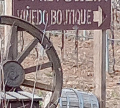 Viñedo La Revuelta-Tequisquiapan必去景点