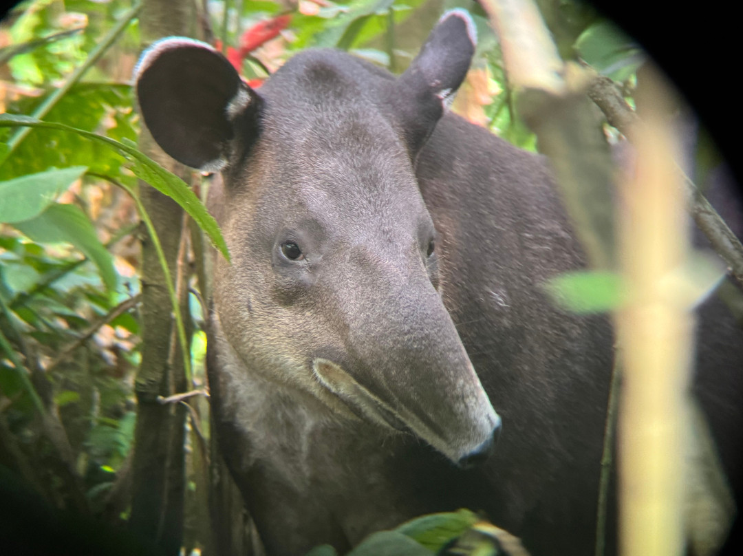 Brother's Adventures Tours-萨迪纳尔必去景点