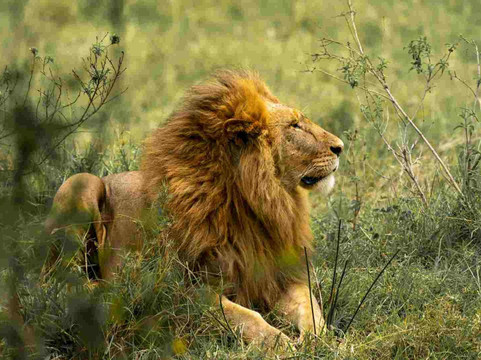 Yote Tanzania Adventures