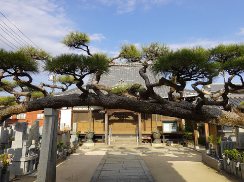 Fumon-ji Temple-下松市必去景点