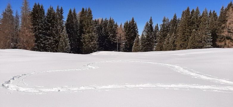 Passo Rolle-圣马蒂诺－迪卡斯特罗扎必去景点