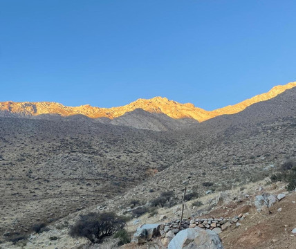 Alcohuaz Vineyards-Coquimbo必去景点