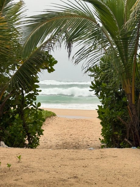 海滩小屋酒店-官方