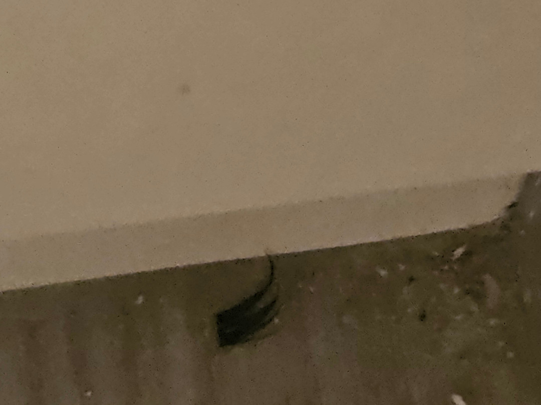 米尔顿凯因斯（威纶湖）优品迎酒店主图