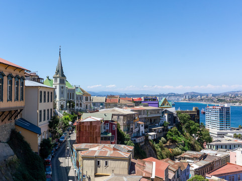 野生动物酒店主图