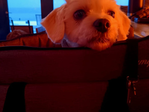 Lighthouse Büsum-比苏姆必去景点