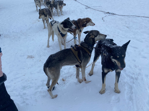 Randogs-Chastreix必去景点