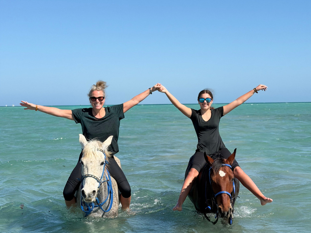 Yallahorse Stable-艾高娜必去景点