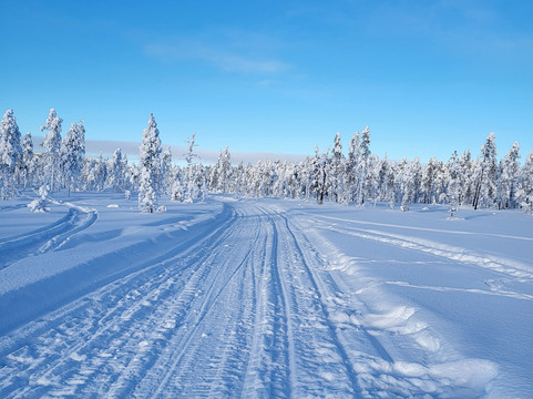 KuksaCabin-Jokkmokk必去景点