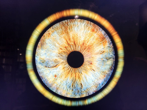 Iris Galerie Maastricht