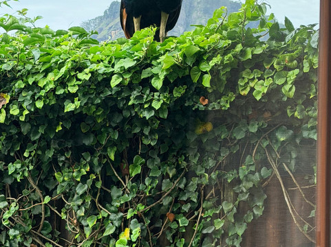 98英亩度假村主图