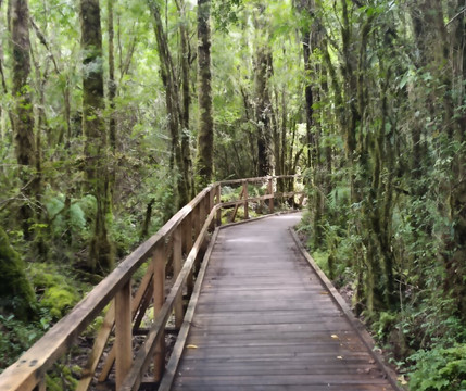 Ventisquero Yelcho-Chaiten必去景点